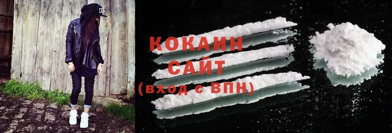 КОКАИН FishScale  где купить наркотик  Анадырь 